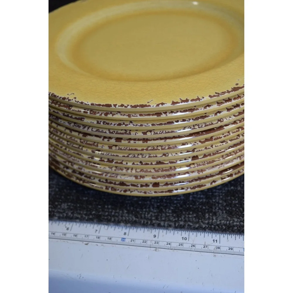 12 Williams Sonoma Rustic Melamine Plastic Dinner Plates Tuscan Summer Yellow